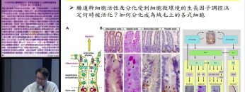 人造幹細胞-編程技術的發展與再生醫療的前景