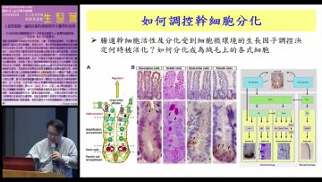 人造幹細胞-編程技術的發展與再生醫療的前景