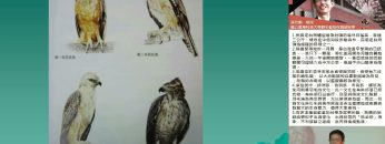 [週日閱讀科學大師-1506]熊鷹的三角習題