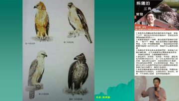 [週日閱讀科學大師-1506]熊鷹的三角習題