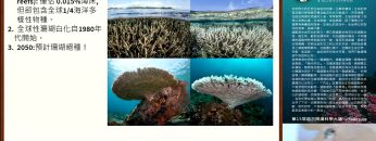 [週日閱讀科學大師-1516] 生命的協奏曲–巨觀到微觀說共生