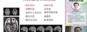 [週日閱讀科學大師1814] 移動中的大腦