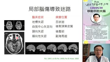 [週日閱讀科學大師1814] 移動中的大腦