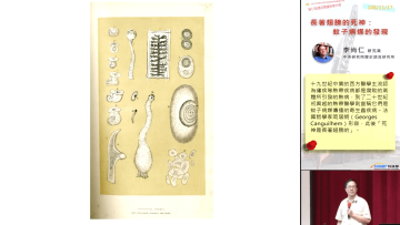 長著翅膀的死神-蚊子病媒的發現-海報