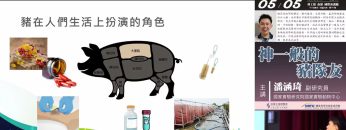 神一般的豬隊友[2024.05.05週日閱讀科學大師]