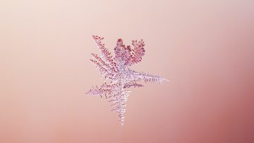 Frosty pattern on glass in winter. Natural background