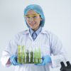 Scientists are developing research on algae. Bio-energy, biofuel, energy research