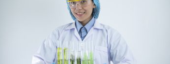 Scientists are developing research on algae. Bio-energy, biofuel, energy research