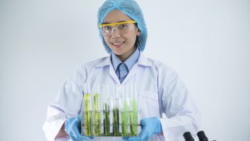 Scientists are developing research on algae. Bio-energy, biofuel, energy research