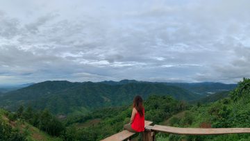 馴化動物與野生動物帶我認識台灣的地景與氣候
